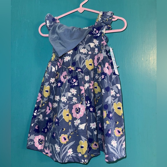 Carter's Other - Carter's Blue and Pink Floral Dress